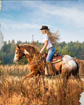 Ashoreshop-2023-western-cowgirl-boots-fashion-new-arrivals