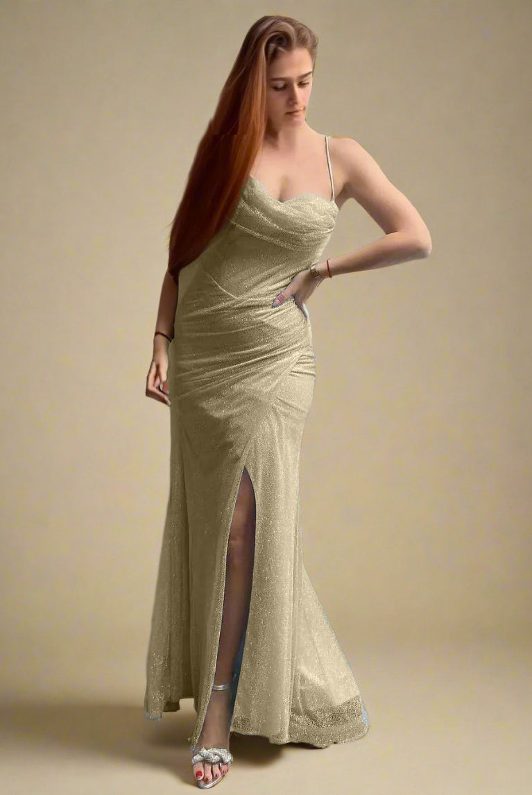 Ashore_Shop_Spaghetti_Straps_Lightweight_Mesh_Prom_Dress-champian