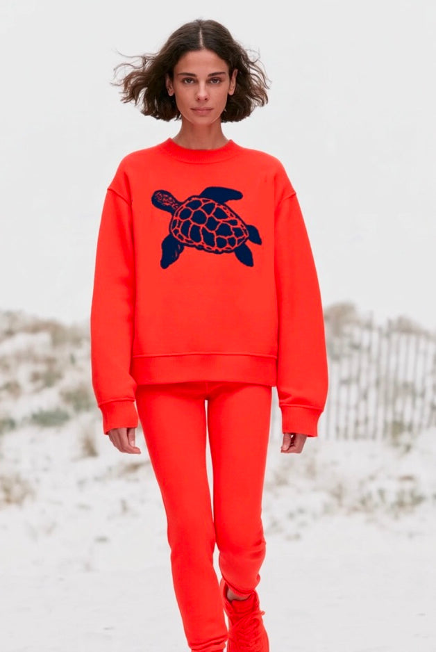 The_Ocean_Life_Ashore_Unisex_Turtle_Jacquard_Sweater_Jumpers-3