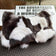 Women's Real Fox Fur Woman Ladies Crossbody Bag