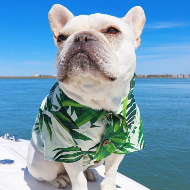 Ashore Shop Pet Dog Hawaiian Shirt Beach Print Clothing