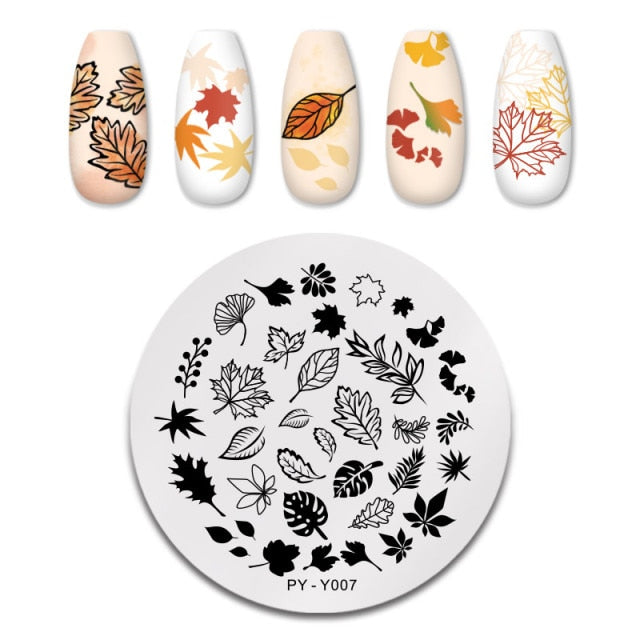 Nail Art Geometry Nail Stamping Plates Lines Animal Fruits Theme