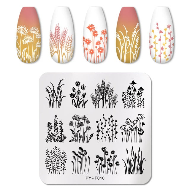 Nail Art Geometry Nail Stamping Plates Lines Animal Fruits Theme